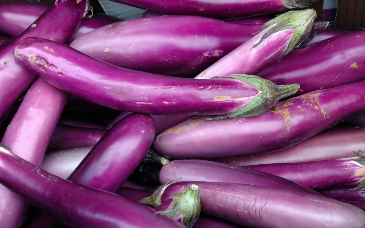 Eggplant
