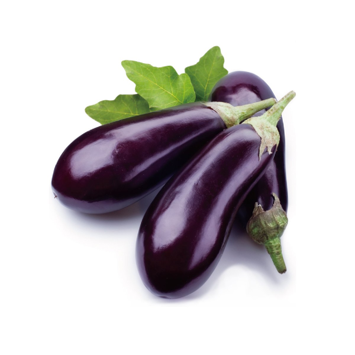 Eggplant